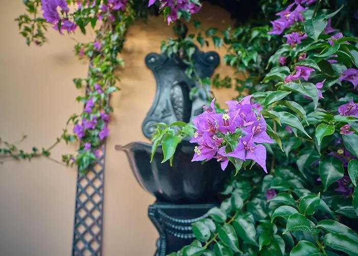 בית הארחה Silver Coast